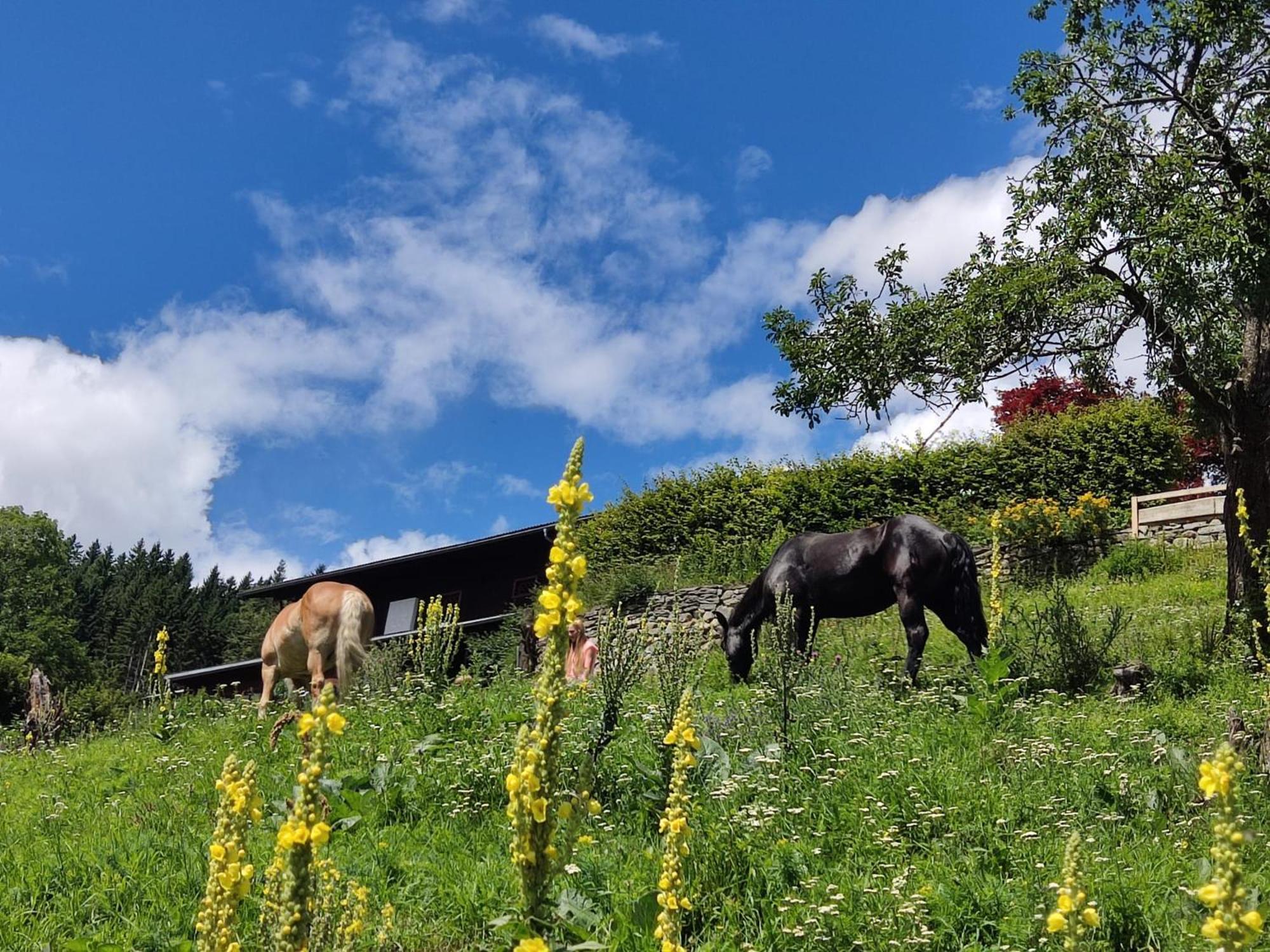 Appartement Waldhof Flattach Eksteriør bilde